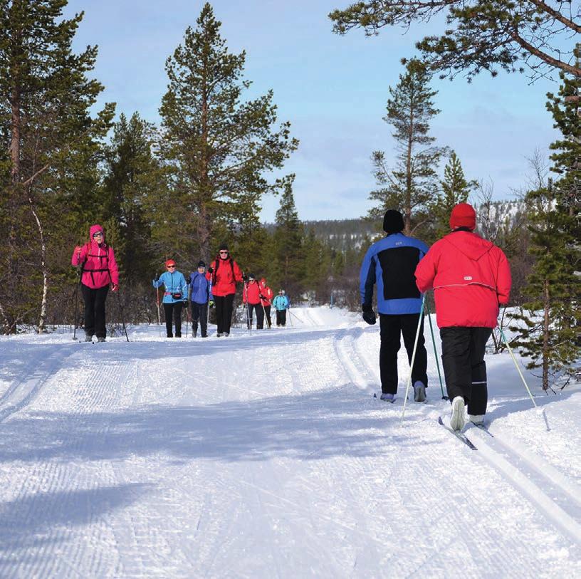 TYYTYVÄISIÄ KävIJÖITÄ Kävijätyytyväisyysindeksi on luku, joka on laskettu seuraavien osatekijöiden keskiarvona: mielipiteet palveluista ja ympäristön laadusta, ennakko-odotusten toteutuminen ja