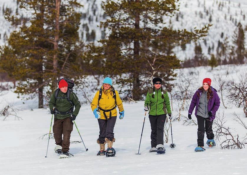 HYVINVOINTIA LUONNOSTA Kävijätutkimuksiin on hiljattain lisätty kysymyksiä kartoittamaan kävijöiden kokemia terveys- ja hyvinvointivaikutuksia.