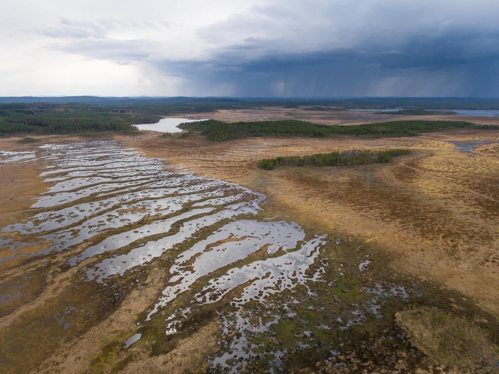 Metsähallitus/Haapalehto