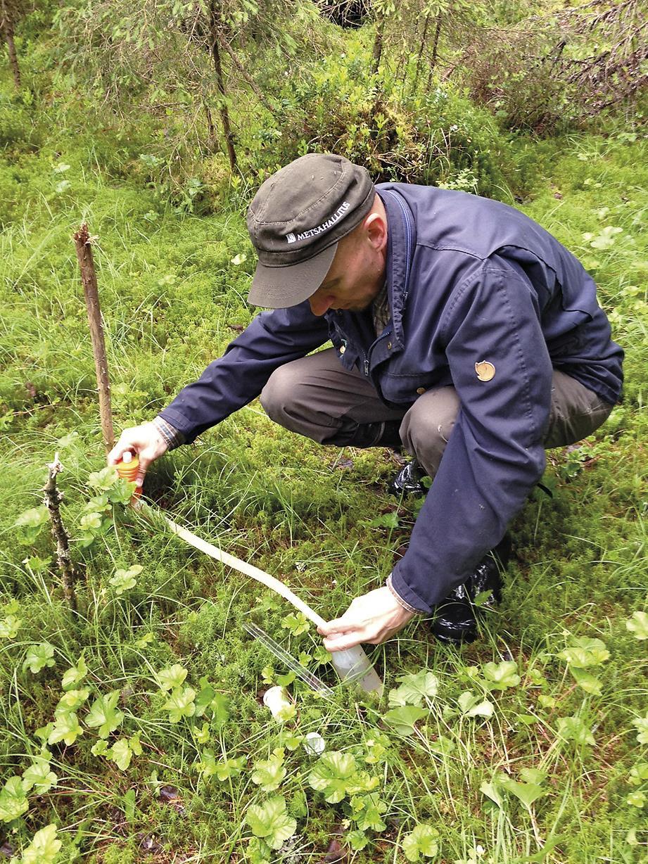 Toiminta käyntiin - vesitalous palautuu nopeasti Vesi nousee Veden laatu palautuu Lähteet Haapalehto ym.