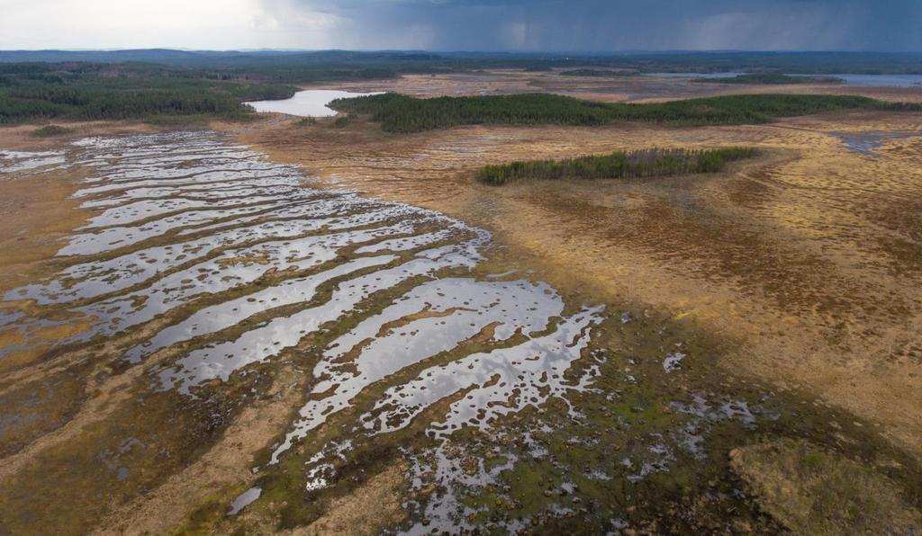 Vesien ohjaus kuivahtaneille ojittamattomille soille: testataan esim.