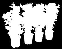 11-15