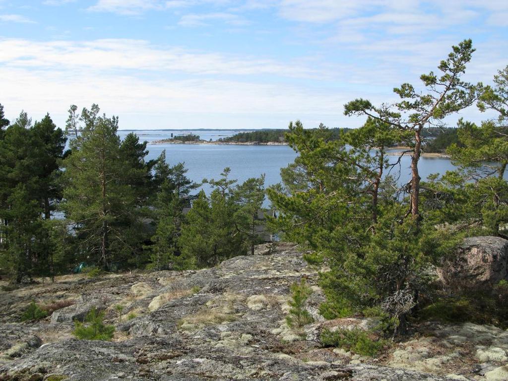 Velkuanmaa kuuluu tammivyöhykkeeseen eli hemiboreaaliseen kasvillisuusvyöhykkeeseen, missä ilmasto on leutoa.