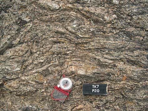 veins of granite leucosome. OL- TK7, section P-3.