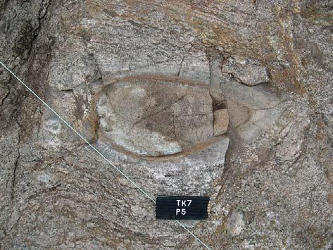 leucosome and narrow biotite-rich melanosome schlieren.