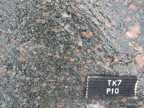 gneiss. OL-TK7, section P7.