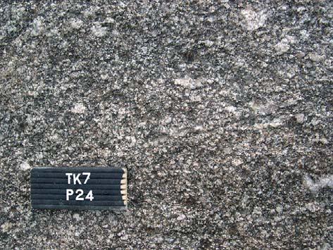 (greenish) porphyroblasts. OL- TK7, section P10.