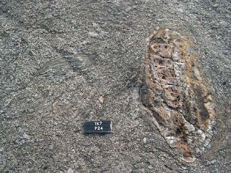 D) Granitic grey gneiss with skarn and mica