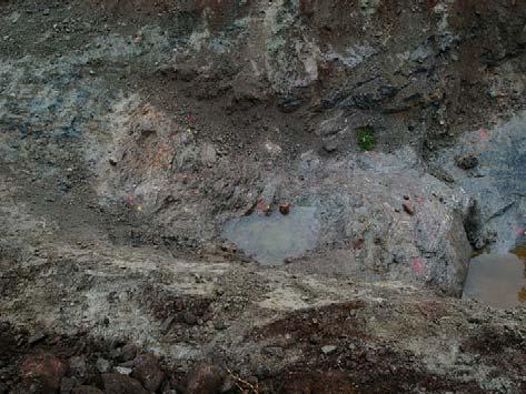 Those parts of the migmatite, which have fewer granite leucosome veins, are more intensely weathered (Fig. 2.1-3B.). An almost completely weathered, ca. 1.