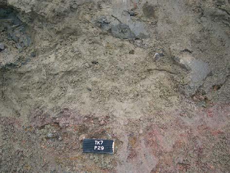 C) Sand and fine-grained clayey till overlaying the weathered