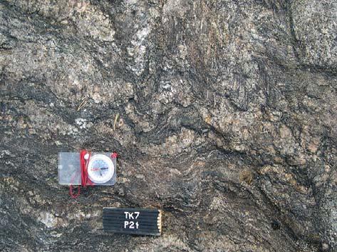OL-TK7, section P13.
