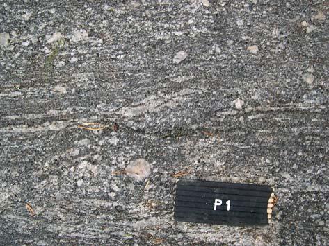 shear zone with a strong mylonitic foliation.