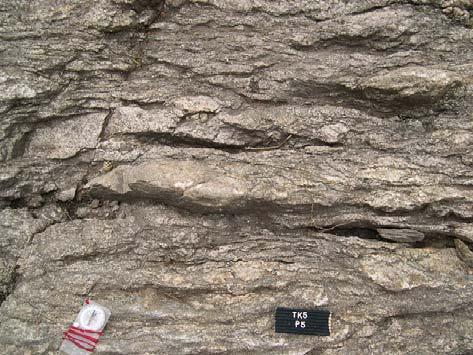 the shear zone in TK5.