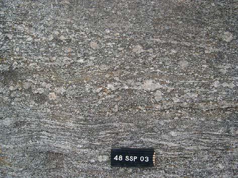 shear zone with a potassium feldspar megacrysts