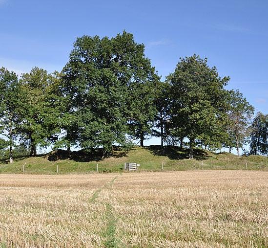Lähiluonto-opas Smålandsstenar ja