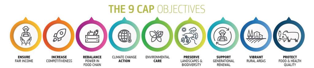 Yhteinen maatalouspolitiikka muuttuu (EU BUDGET: THE CAP AFTER 2020 #EUBudget #FutureofCAP) Higher ambition, in particular with regard to the environment and climate Each EU Member State will draw up