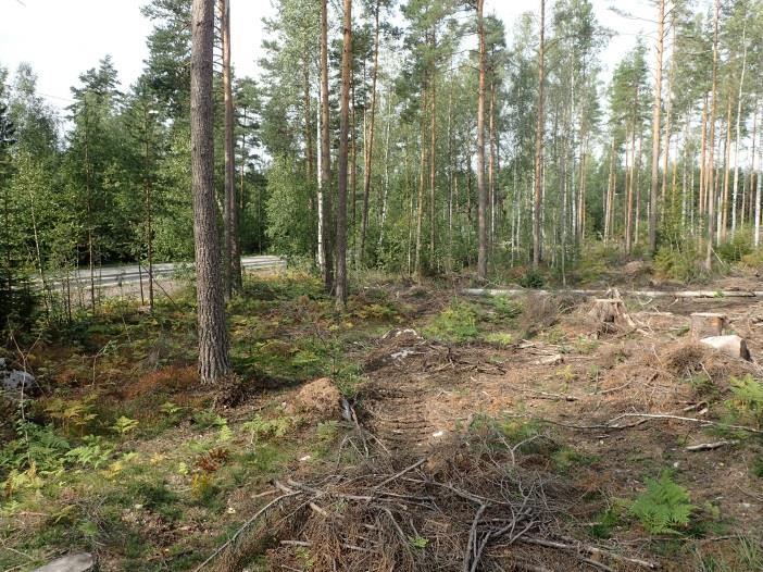 Alueella ei ole kiinteitä muinaisjäännöksiä eikä muita kulttuurihistoriallisia jäännöksiä. Nykyisen tien kohdalla parikiven tiestä pohjoiseen on ollut tie jo ennen 1700- luvun puolta väliä.