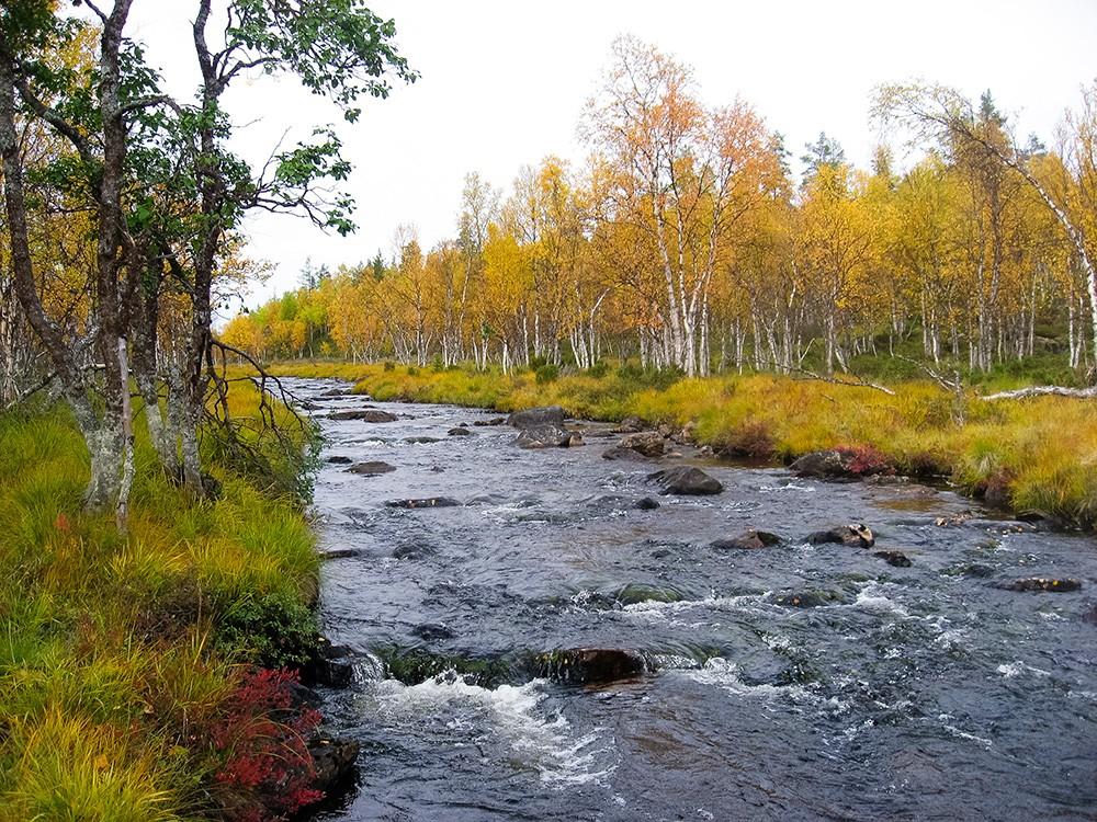 Seuraavana aamuna saimme palkinnoksi edellisen päivän pitkästä vaelluksesta tutustua aamulla pari