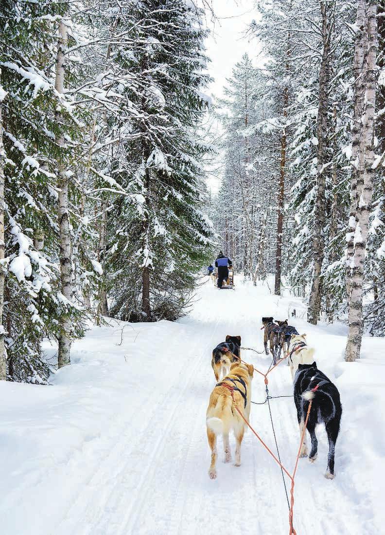 Omatoimimatkailu on lisääntynyt myös Pohjois-Suomessa.