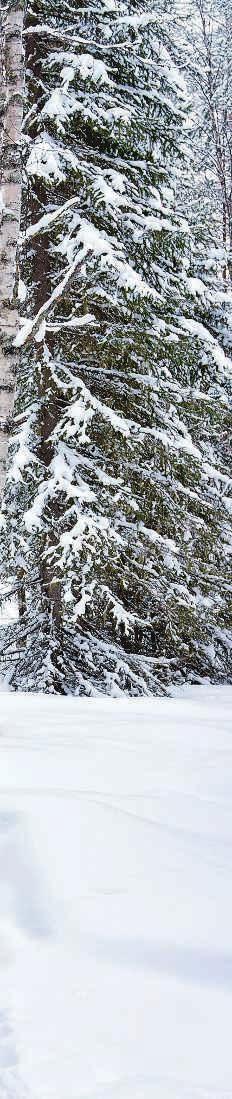 Etelä-Suomen välillä ovat pääasiassa liikenteellisiä. Arki on melko samanlaista kaikkialla, eikä kaupallisessa mielessä eroa juuri ole, Mäkelä lisää.