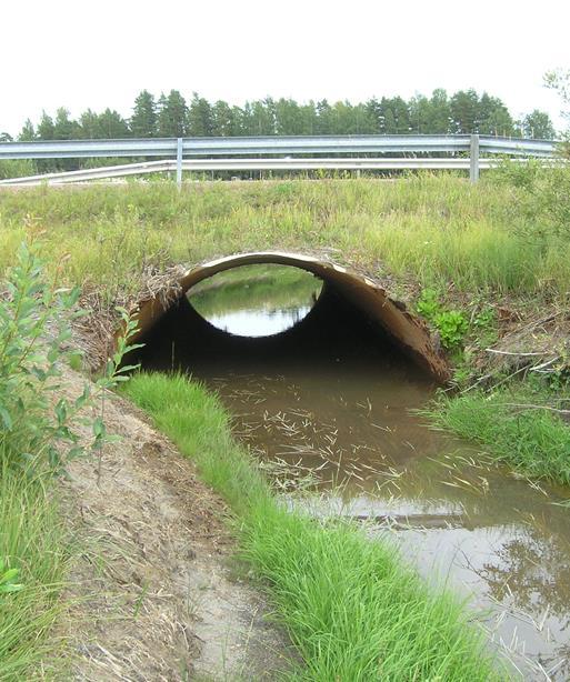 myös tierakenteisiin ja