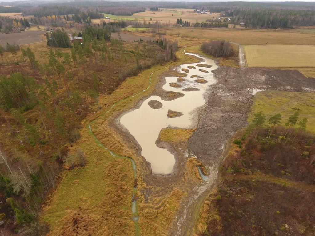 1.3 ha monivaikutteinen kosteikko