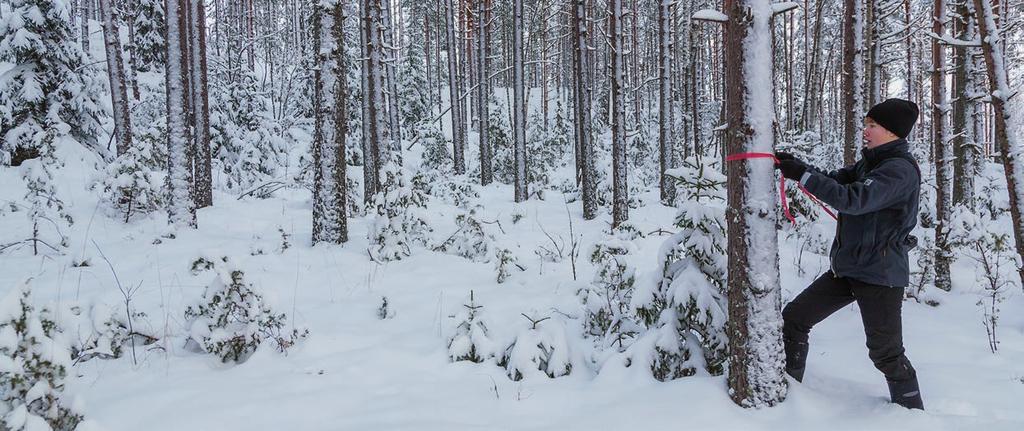 METSÄNHOITOYHDISTYS AUTTAA, NEUVOO JA PALVELEE KUN suunnittelet puukauppaa taimikkosi tarvitsee harvennusta metsääsi kohtaa myrsky-, hyönteis- tai muu tuho tarvitset tila-arvion tai haluat uuden