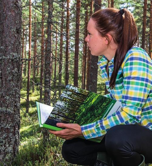 Metsänhoitoyhdistyksestäsi voit tilata metsäsuunnitelman. Metsäsuunnittelija tekee sen käymällä metsässäsi paikan päällä.