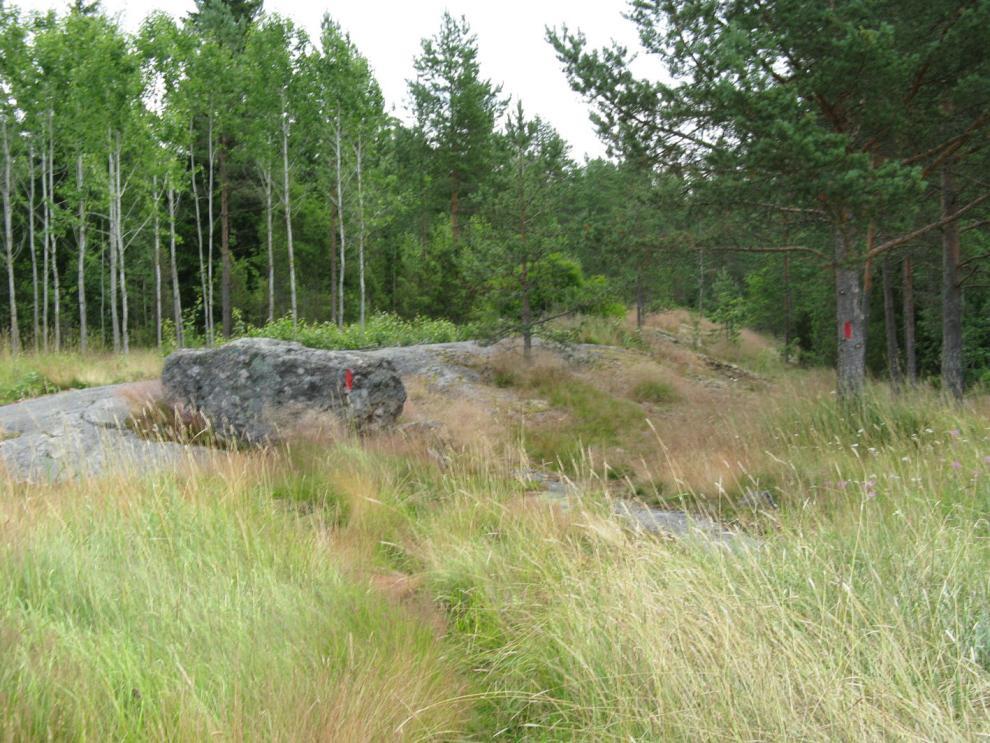 pitkänomainen kallioharjanne, jonka laella on kalliopaljastuma.