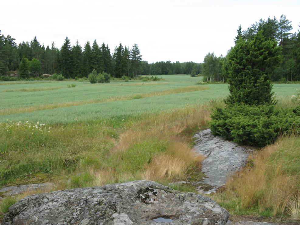 Alueen kallioharjanteelta on avarat näkymät viereisen peltoaukean yli. Yhteenveto Maakunnallisella tasolla Nikulanmäen asemakaava-alueen kallioalueet eivät ole erityisen merkittäviä.