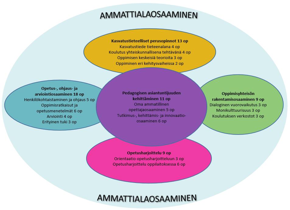 2 opintojensa aikana oppimispäiväkirjaa. Henkilökohtaista kehittymissuunnitelmaa käsitellään vastuuopettajan kanssa käytävässä kehityskeskustelussa heti opintojen alkuvaiheessa. Kuvio 1.