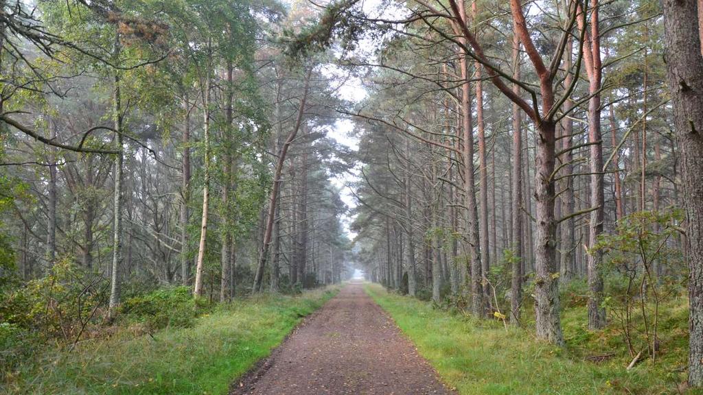 Örö, Pitkä ikävä Kuva: