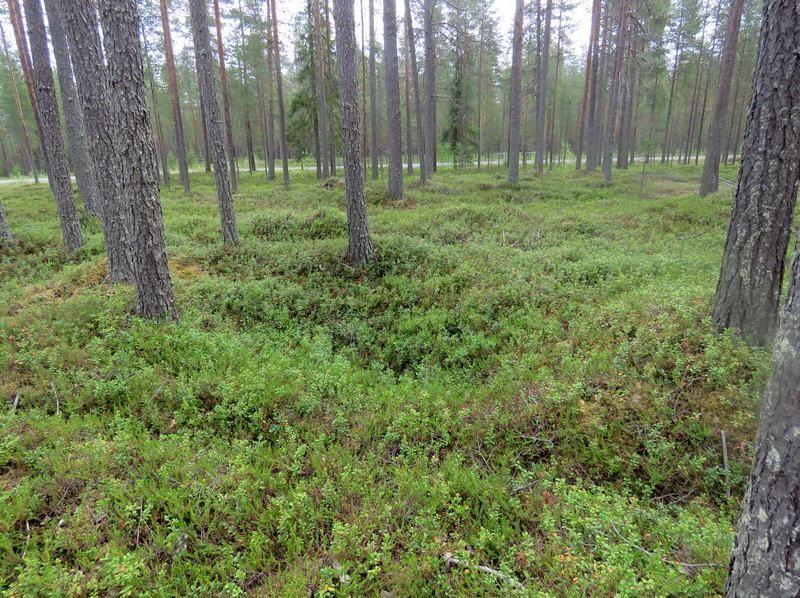 22 Miilu kuvattu kaakkoon. 5.