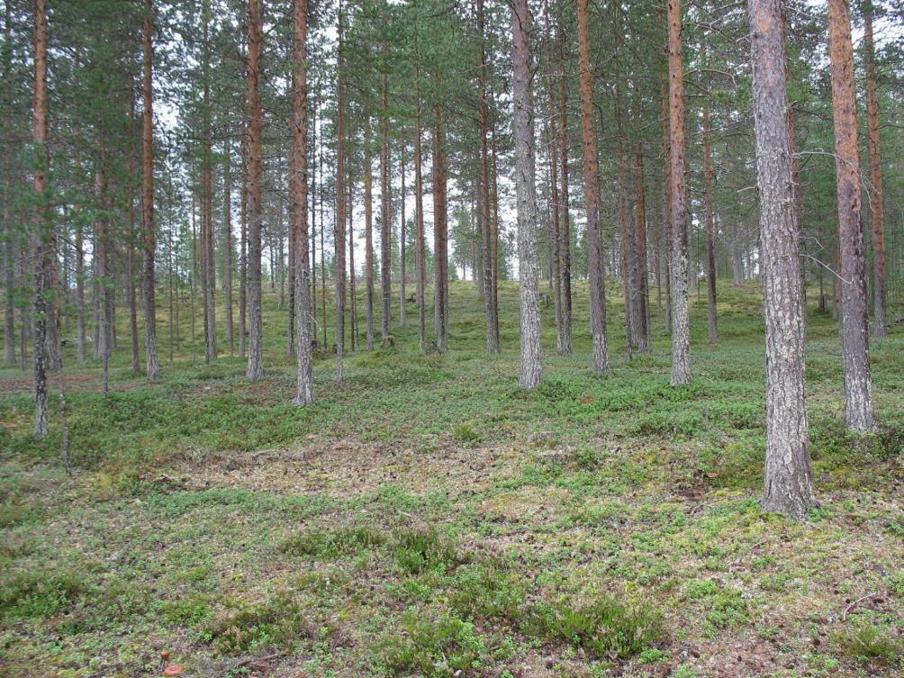 LAPELY/4210/2015 Pohjavesialueiden luokitteluun liittyvä selvitys