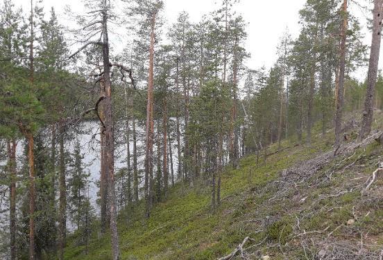 25/73 3.9 Päriharju (12320146) ja Parvaharju (12320147) Tutkimusalueen kuvaus Päriharjun ja Parvaharjun pohjavesialueet sijaitsevat luode-kaakkosuuntaisessa harjumuodostumassa.