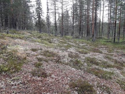 47/73 4. MAATUTKALUOTAUKSET 4.