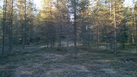 57/73 5. MAASTOTARKASTELUT 5.1 Ahmakangas (12320135) Ahmakankaan III luokan pohjavesialue sijoittuu Kaihuan vaaran luoteispuolen rinteen rantakerrostumaan.