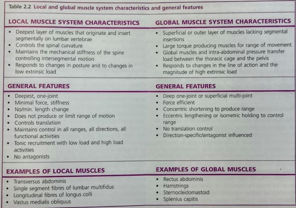 11 Kuva 4 Lokaalien ja globaalien lihasten ominaisuudet (Mottram & Comerford 2012, s.25) 3.