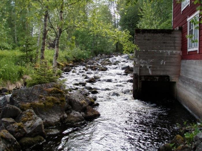 35 3 Saajoki 25 2 15 1 5 1999 2 21 22 23 24 25 26 27 28 29 21 211 212 213 214 Kuva 15. Saajoen kesänvanhojen poikasten tiheyksiä 1999 214. Katkoviiva kuvaa poikastiheyksien trendiä ko.