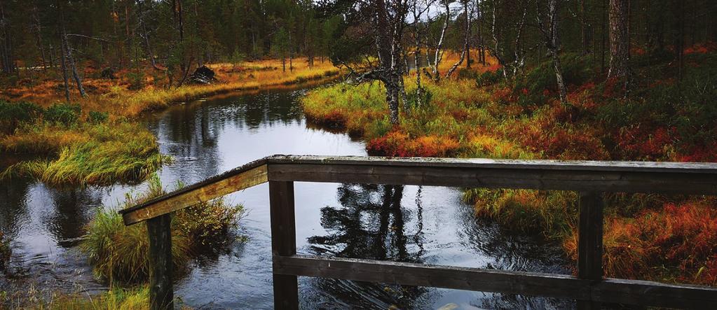 Ruskamatka Saariselälle Kuukkeli-ystäville, jotka eivät antaneet meille hetkenkään rauhaa.