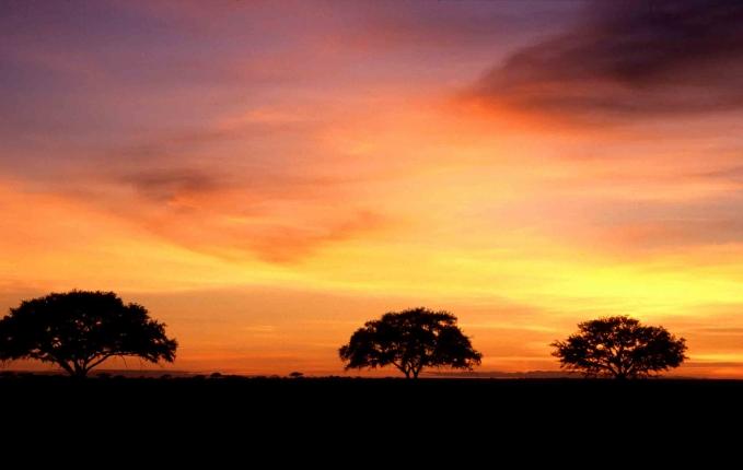 Doha - Lake Manyara - Ngorongoro -