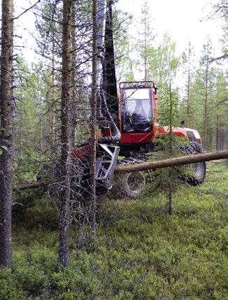 Korjuupalvelulla on imua Kulunut vuosi on myllertänyt puumarkkinoita Rovaniemellä. Viime syksyn kuitupuun ylitarjonnasta on siirrytty kohti koko ajan kasvavaa kysyntää.