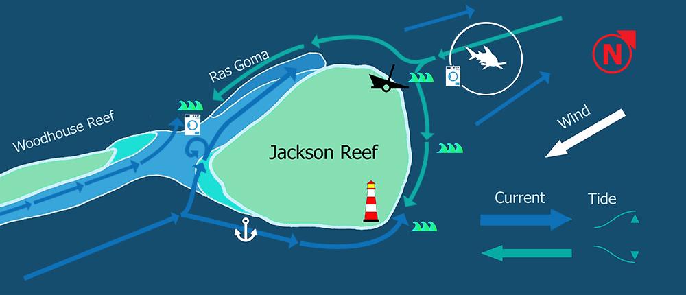 Kulttisukellus: Jacksonin riutan rikkaudet (Osa 1) Egyptissä Siinain itärannikon ja Tiranin saaren välillä on Akabanlahdessa kapea kohta.