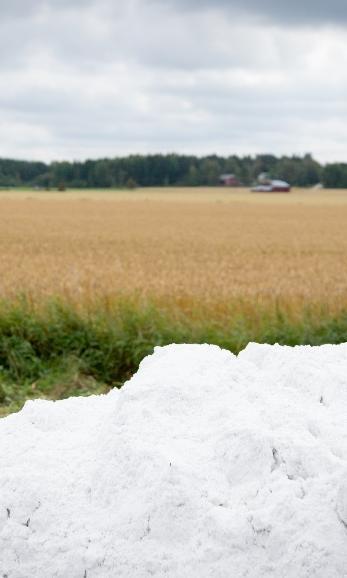 Sosiaalinen hyväksyttävyys ja omaksuminen Kipsin vaikutukset