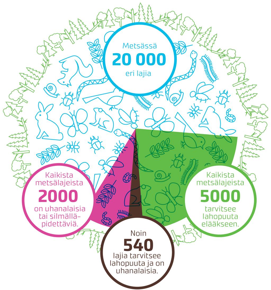 On arvioitu, että 4 000 5 000 lajia, eli noin neljännes kaikista metsälajeistamme, tarvitsee lahopuuta elääkseen. Lahopuu ylläpitää valtavan lajimäärän.