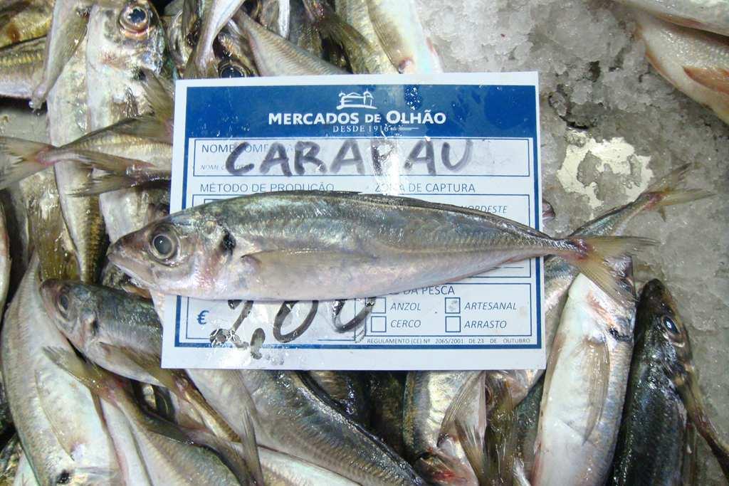 5 CRAPAU den 16 mars 2017 15:06 Carapau, Trachurus trachurus, Makrilli FE Pienet kalat paistettuna pannussa kokonaisena,