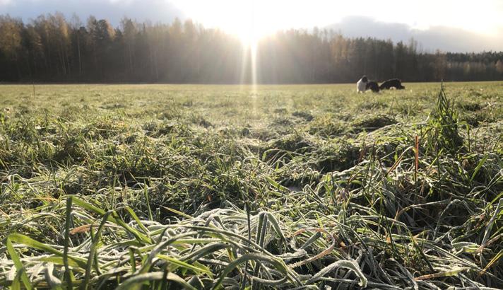 Yliote Yliopistolaisten jäsentiedote 3 2018 13.11.2018 Is this the new normal? In the June issue of Yliote I wrote that we are back to normal.