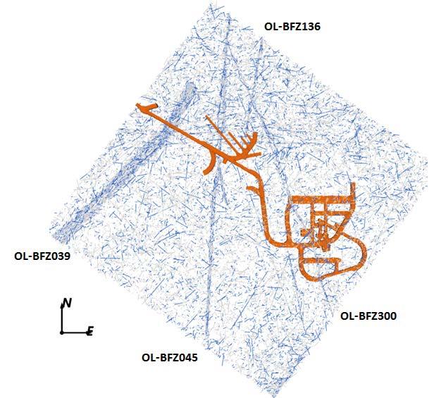 OL-BFZ297 Figure 2 4. Horizontal slice through all fractures (BFZ related and background) at 420m based on the DADFN modelling domain, which extends c.