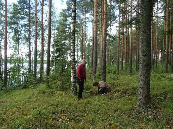 tutkii Oinaanniemen länsirannan rakennuspaikalle tehtyä