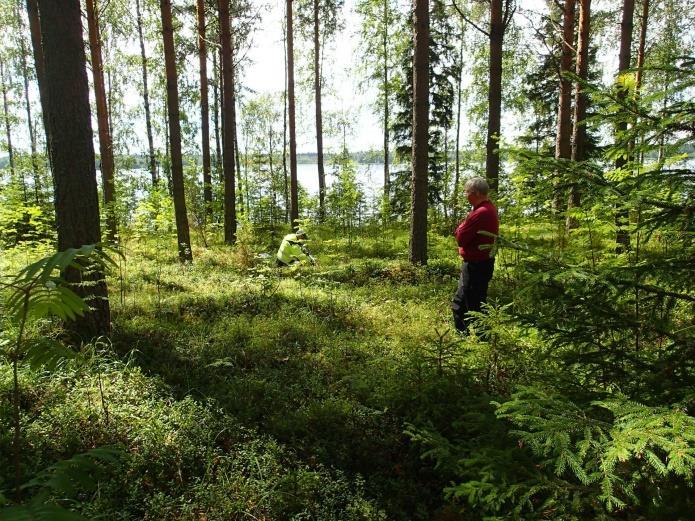 Kervinen. kuvattu lounaaseen.